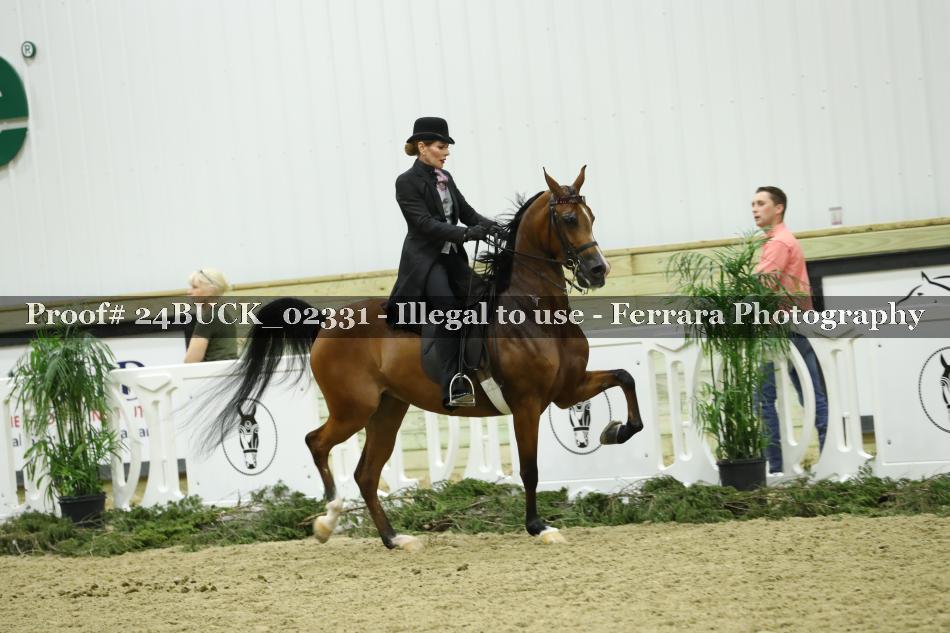 Proof 24BUCK_02331