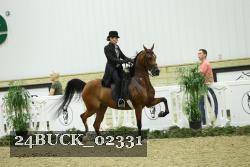 24BUCK_02331 proof