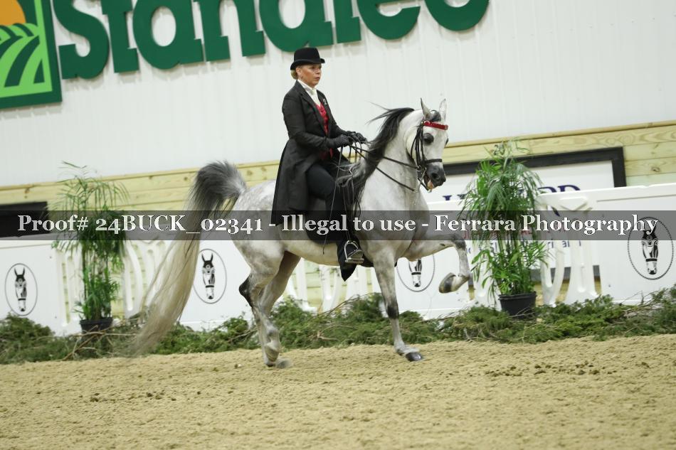 Proof 24BUCK_02341