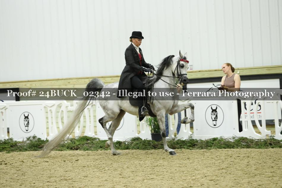 Proof 24BUCK_02342