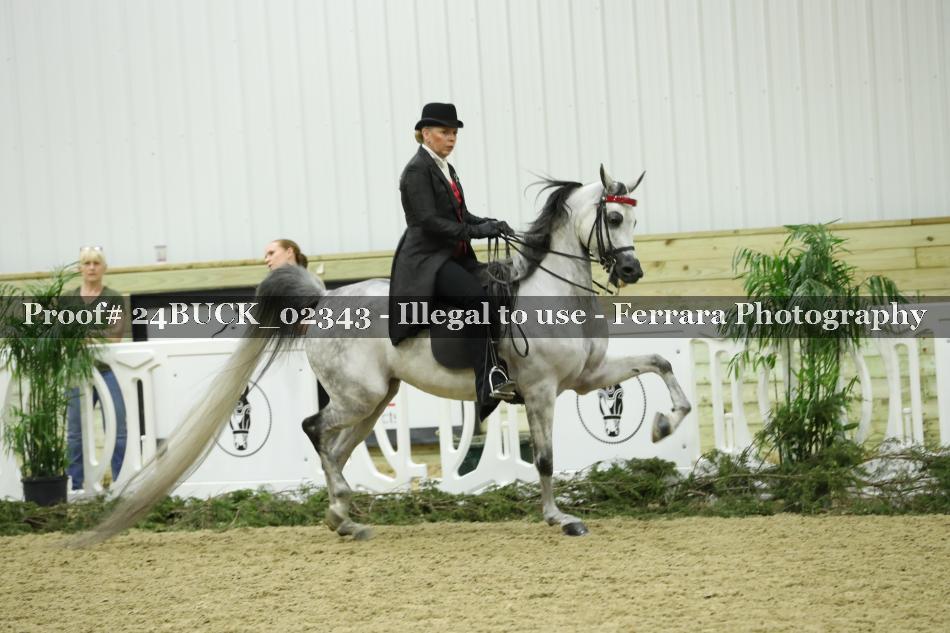Proof 24BUCK_02343