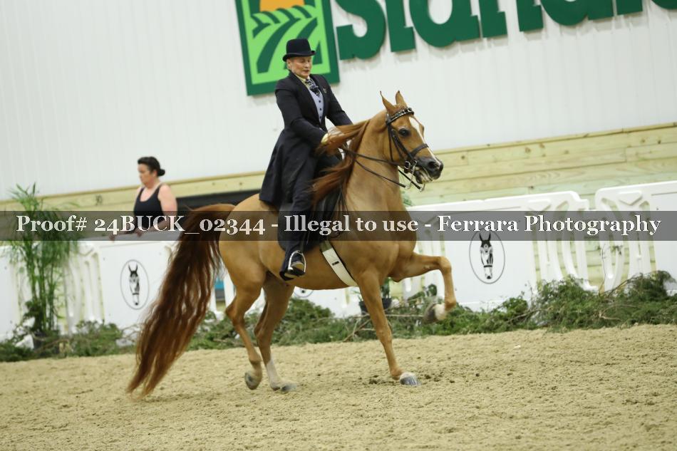 Proof 24BUCK_02344