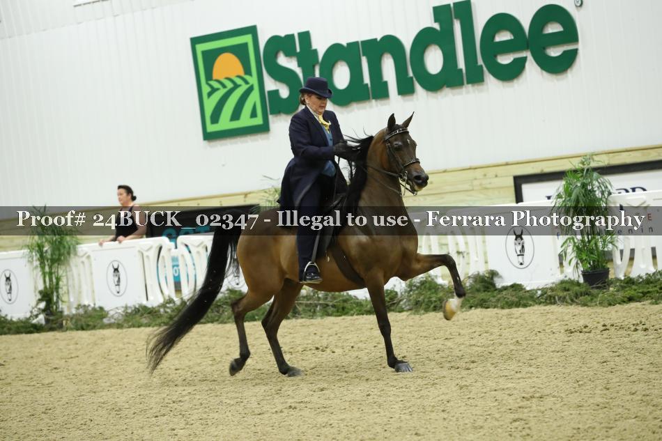 Proof 24BUCK_02347