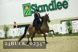 24BUCK_02347 proof