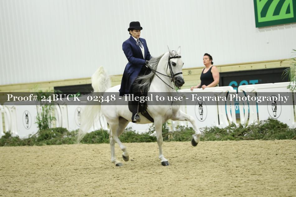 Proof 24BUCK_02348