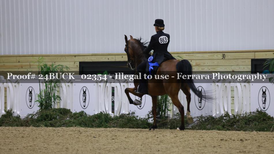 Proof 24BUCK_02354
