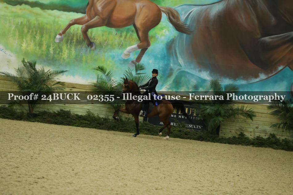 Proof 24BUCK_02355