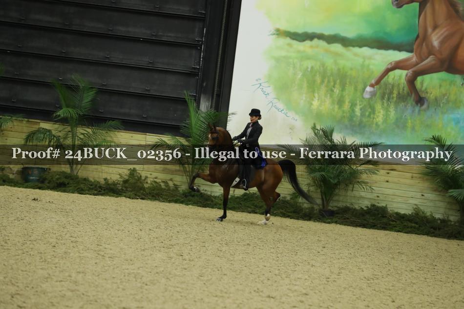 Proof 24BUCK_02356