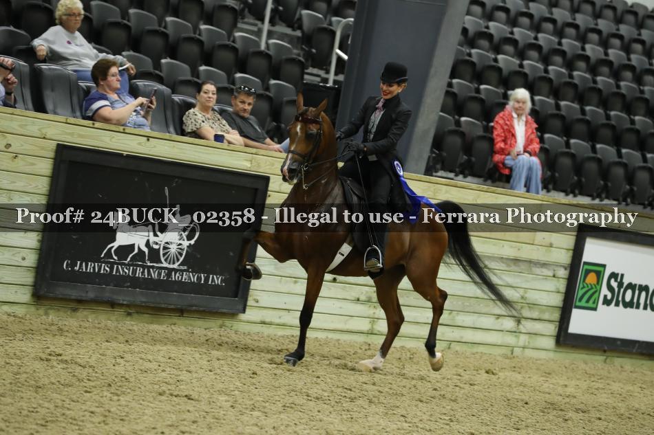 Proof 24BUCK_02358