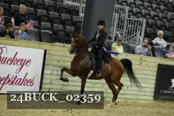 24BUCK_02359 proof