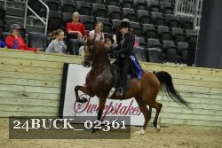 24BUCK_02361 proof