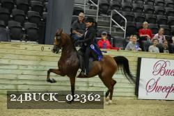 24BUCK_02362 proof