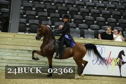24BUCK_02366 proof