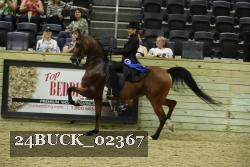 24BUCK_02367 proof