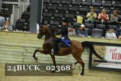 24BUCK_02368 proof