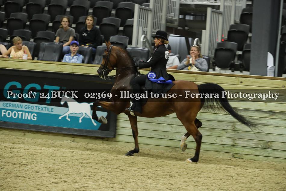 Proof 24BUCK_02369