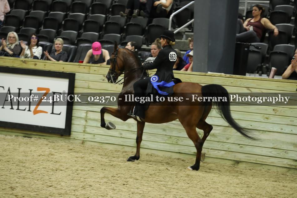 Proof 24BUCK_02370