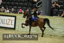 24BUCK_02370 proof