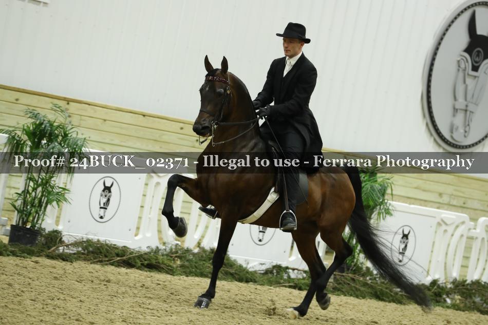 Proof 24BUCK_02371