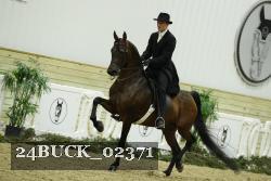 24BUCK_02371 proof