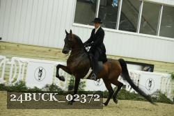 24BUCK_02372 proof