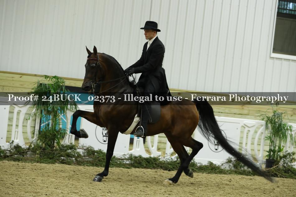 Proof 24BUCK_02373