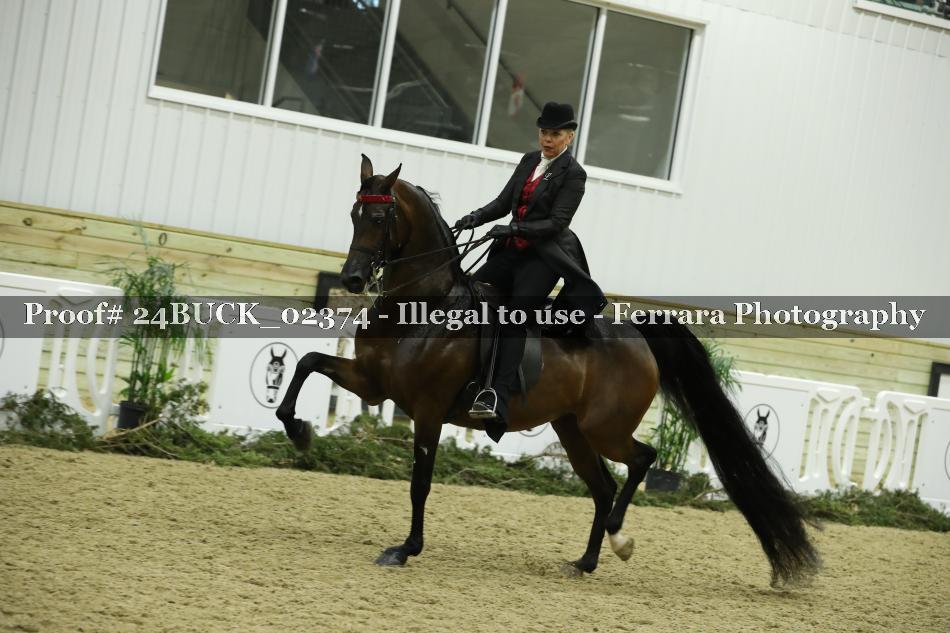 Proof 24BUCK_02374