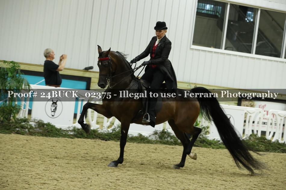 Proof 24BUCK_02375