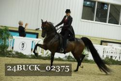 24BUCK_02375 proof