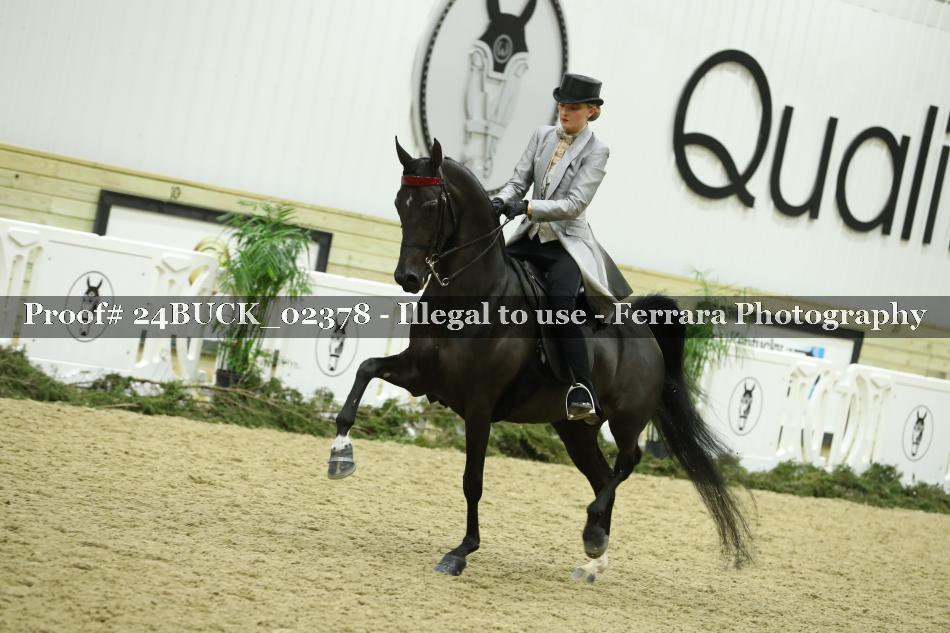 Proof 24BUCK_02378