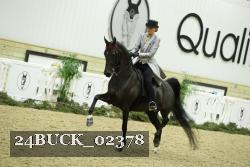 24BUCK_02378 proof
