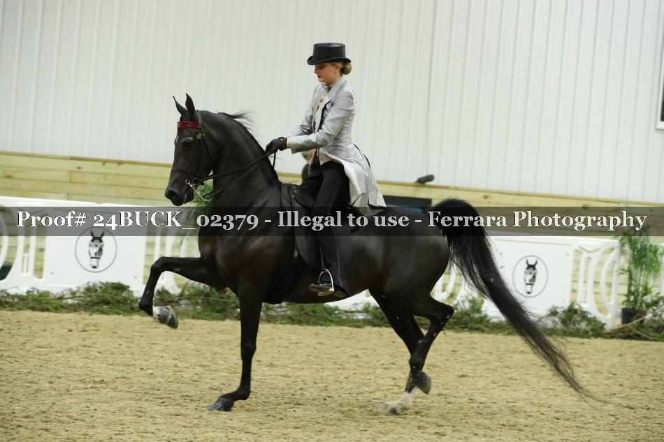 Proof 24BUCK_02379