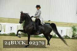 24BUCK_02379 proof