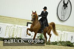 24BUCK_02380 proof