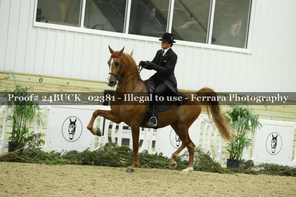Proof 24BUCK_02381