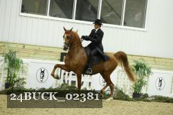 24BUCK_02381 proof