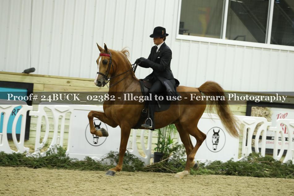 Proof 24BUCK_02382