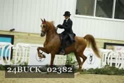 24BUCK_02382 proof