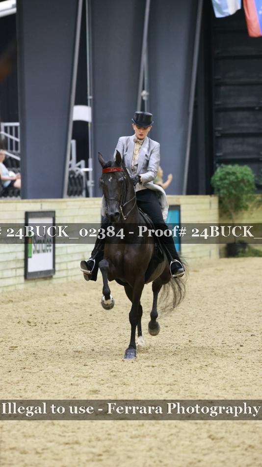Proof 24BUCK_02384