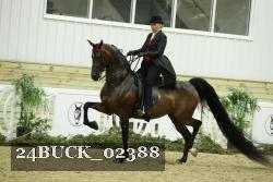24BUCK_02388 proof