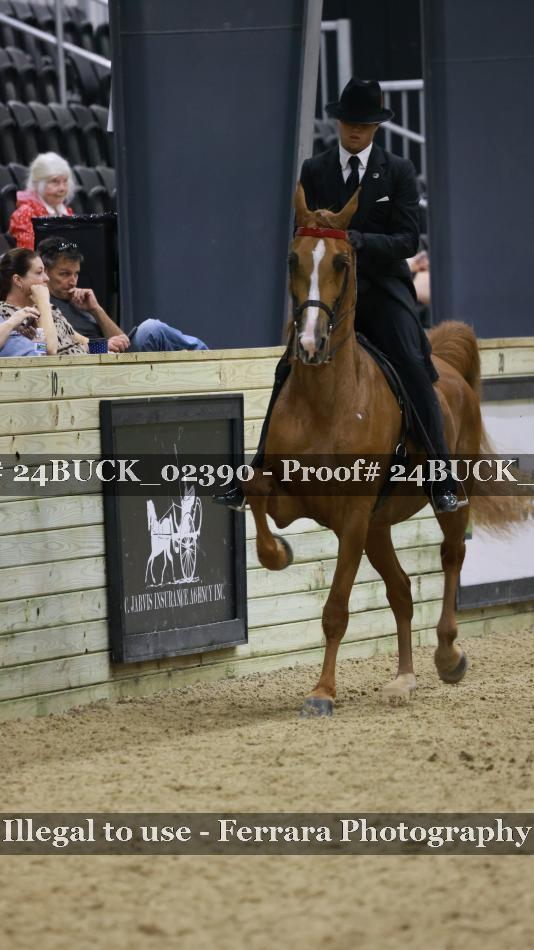Proof 24BUCK_02390