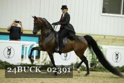 24BUCK_02391 proof