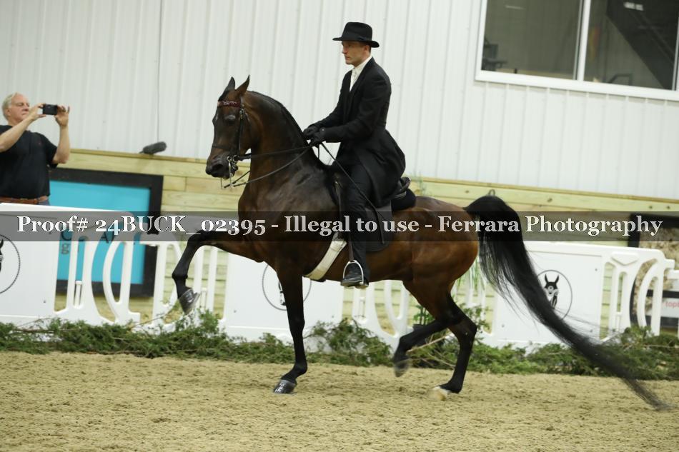 Proof 24BUCK_02395