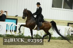 24BUCK_02395 proof