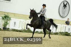 24BUCK_02396 proof