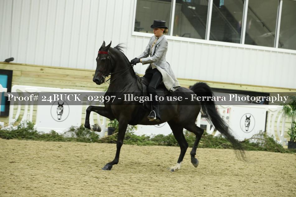 Proof 24BUCK_02397
