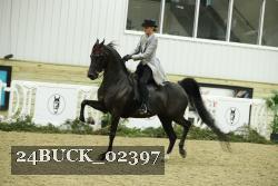 24BUCK_02397 proof