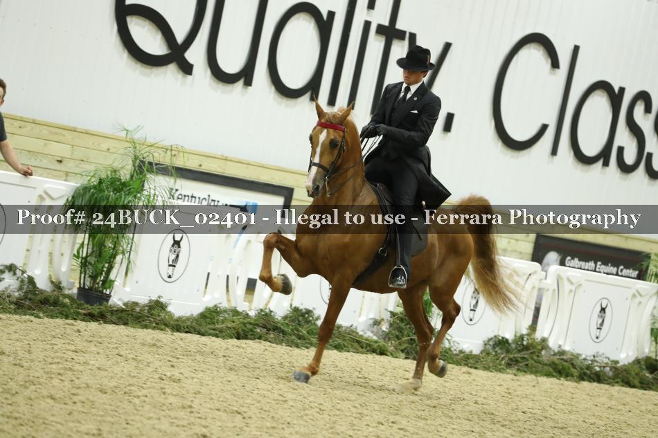 Proof 24BUCK_02401