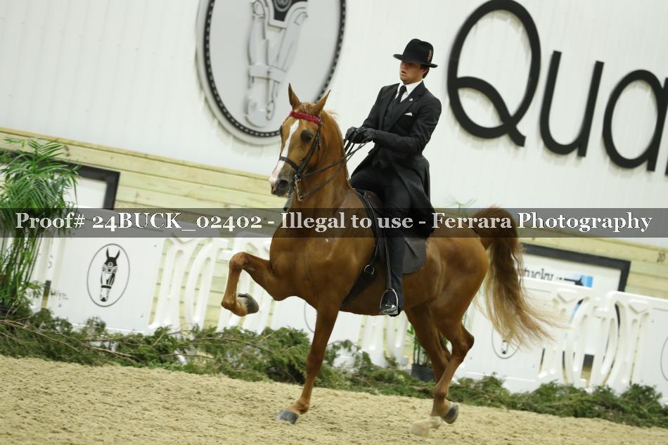 Proof 24BUCK_02402
