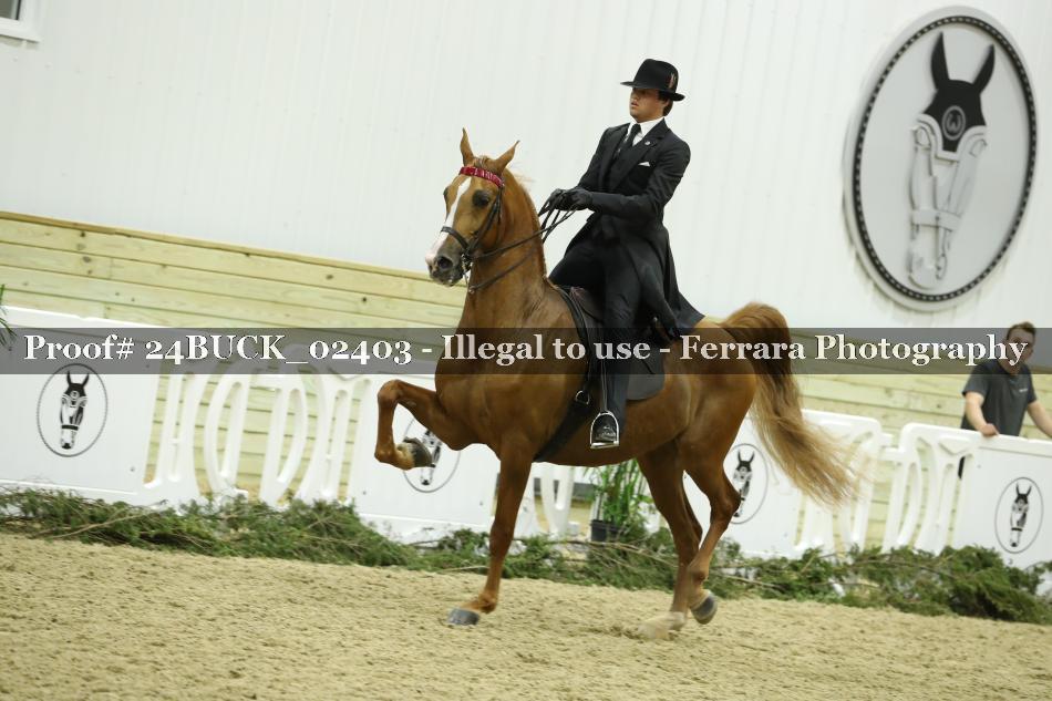 Proof 24BUCK_02403